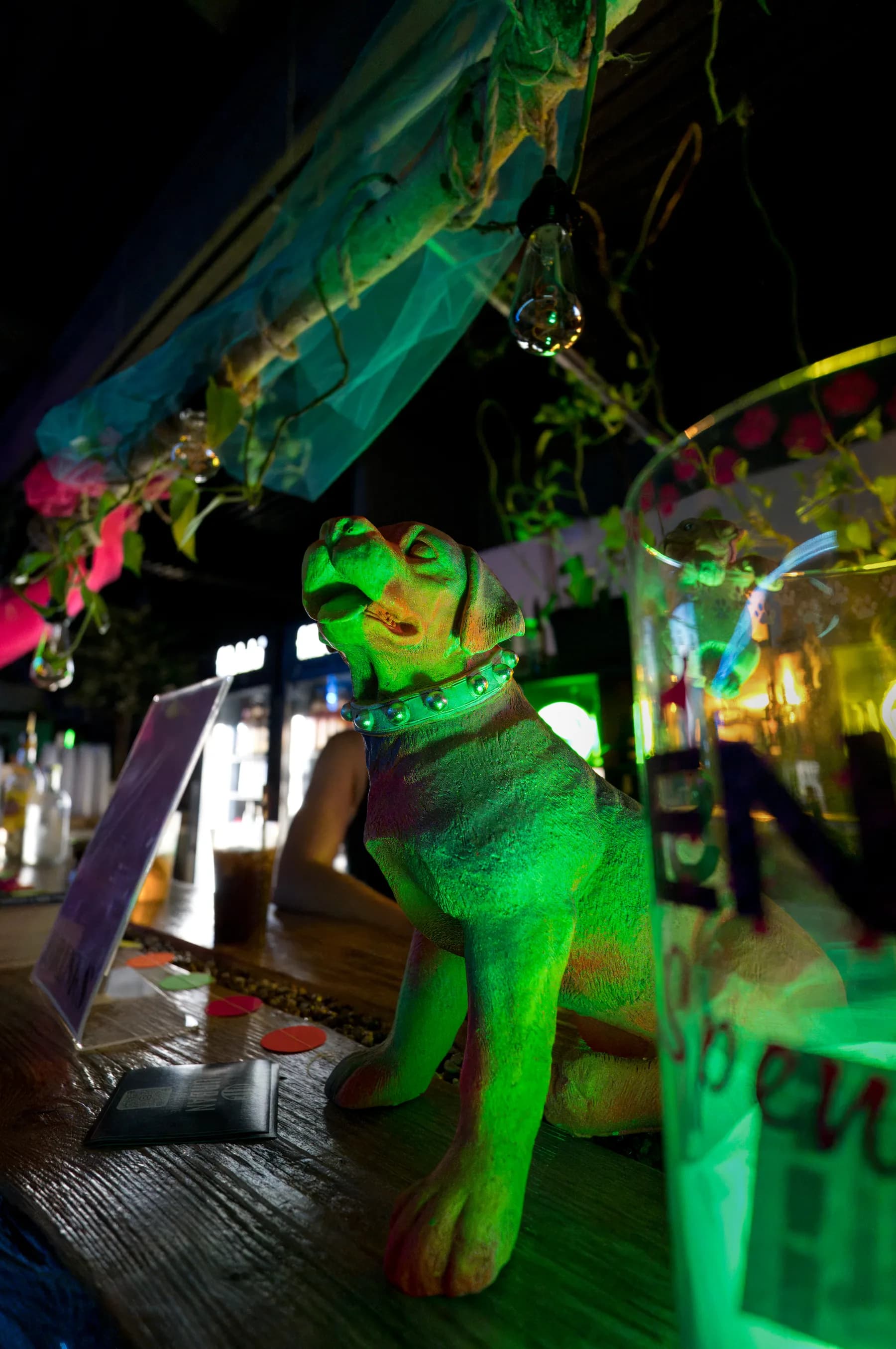 Paw Rave Foto 20