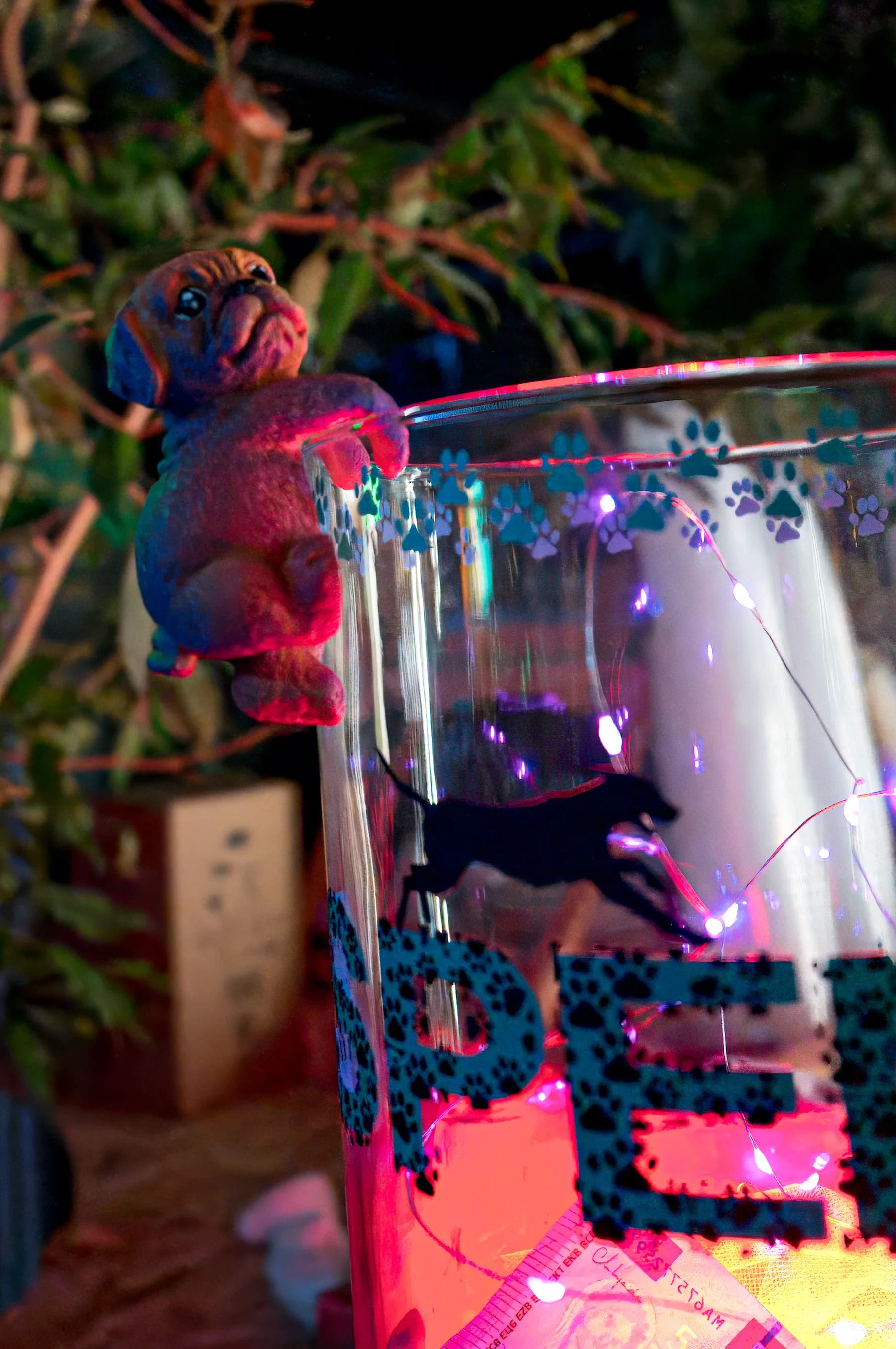 Paw Rave Foto 21