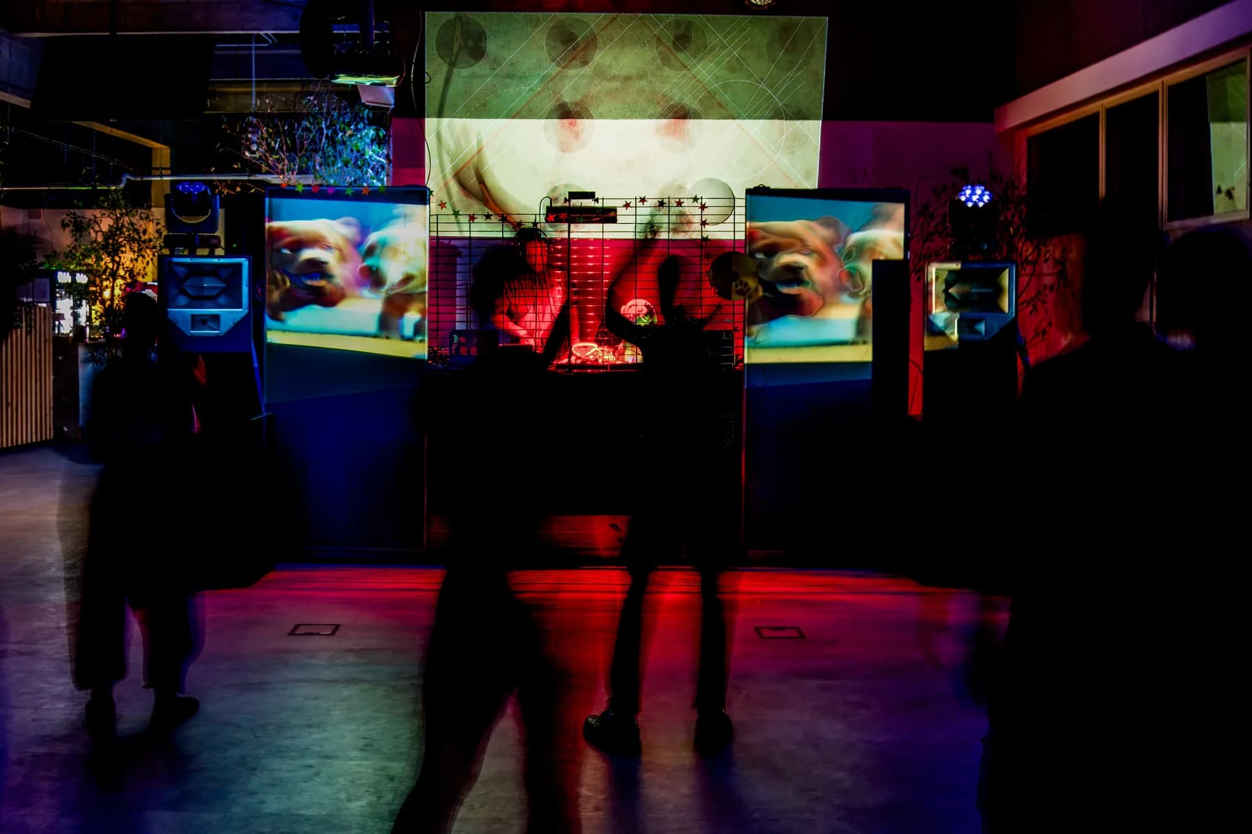 Paw Rave Foto 32