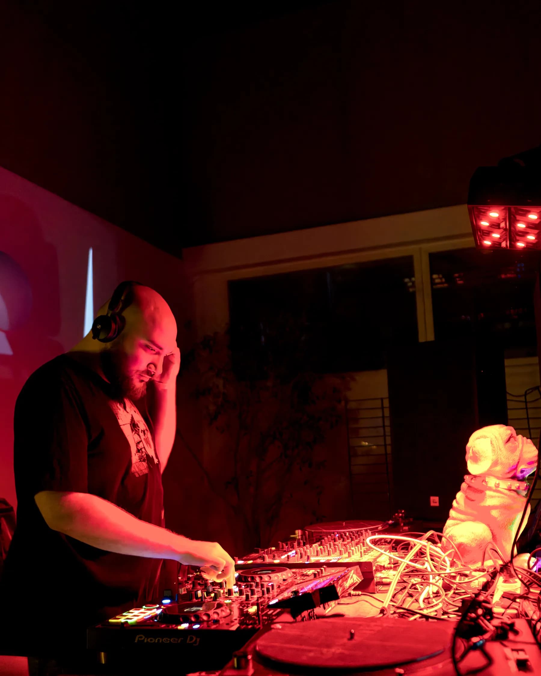 Paw Rave Foto 34